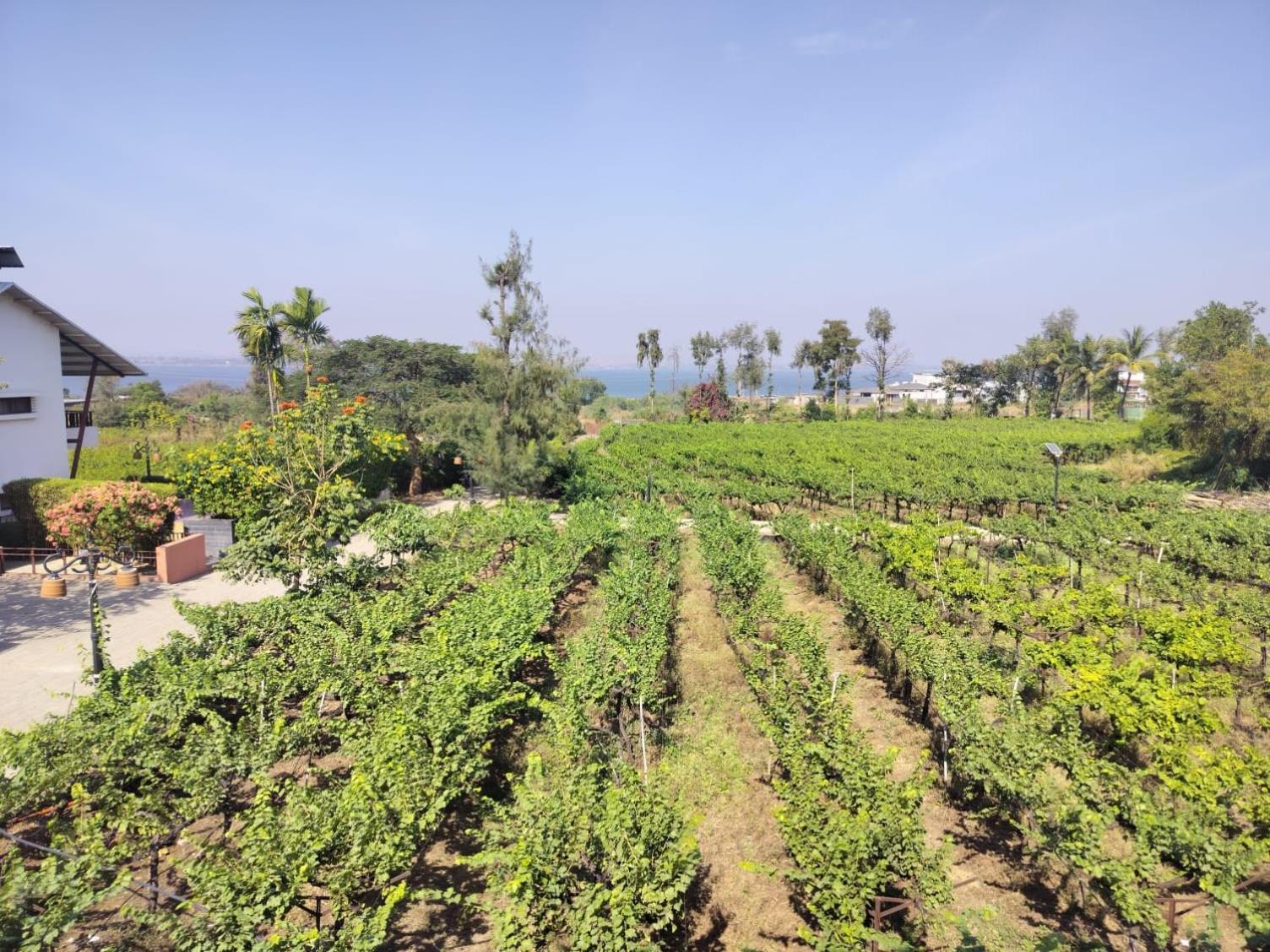 Soma Vineyard Resort -นาสิก ภายนอก รูปภาพ